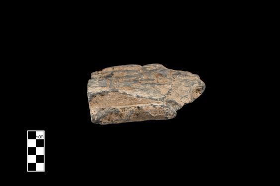 Image of Last Existence: Visit of the Ascetics