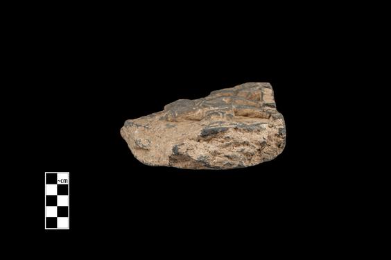 Image of Last Existence: Visit of the Ascetics