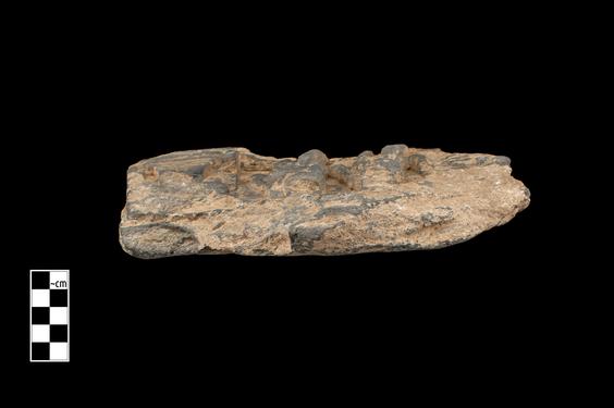 Image of Last Existence: Visit of the Ascetics