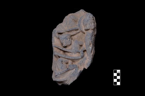 Image of Last Existence: Tug of War Competition