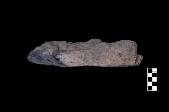 Image of Last Existence: Tug of War Competition