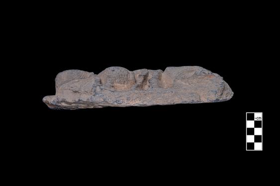 Image of Last Existence: Tug of War Competition