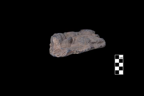 Image of Last Existence: Tug of War Competition