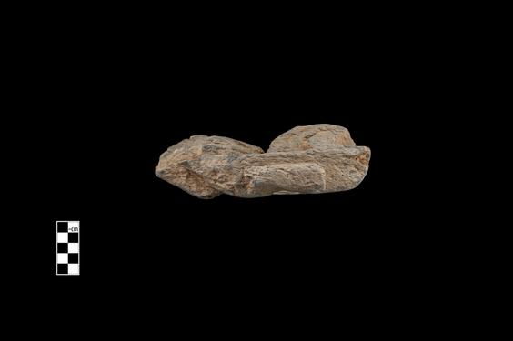 Image of Male figures