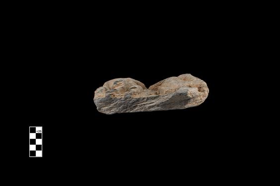 Image of Male figures