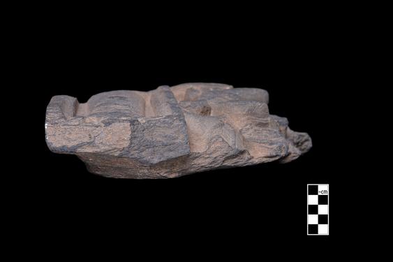 Image of Last Existence: First Bath