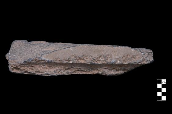 Image of Last Existence: First Bath