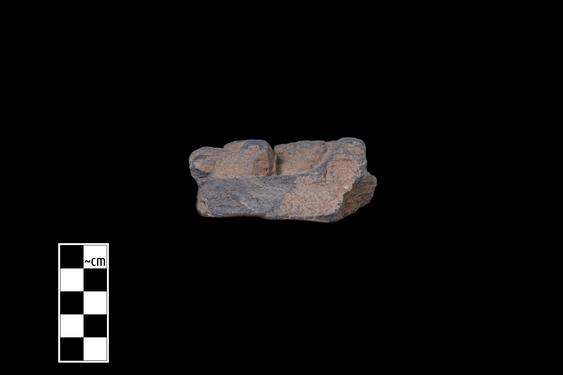 Image of Male devotee