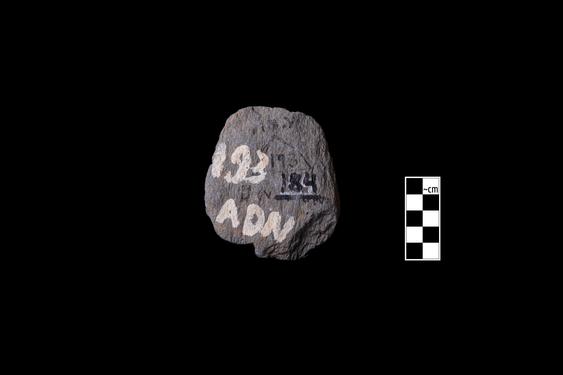 Image of Male figure