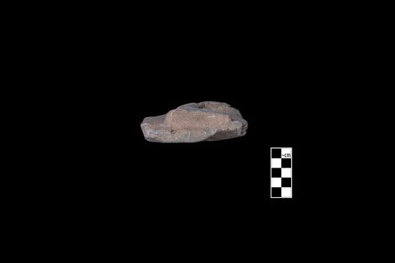 Image of Semi-column of the Gandharan-Persepolitan type