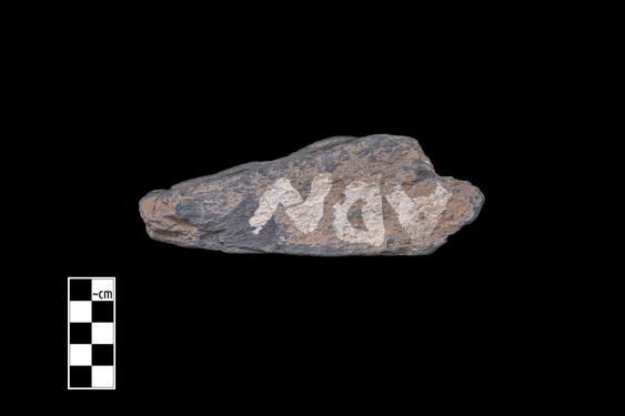 Image of Half-rosettes