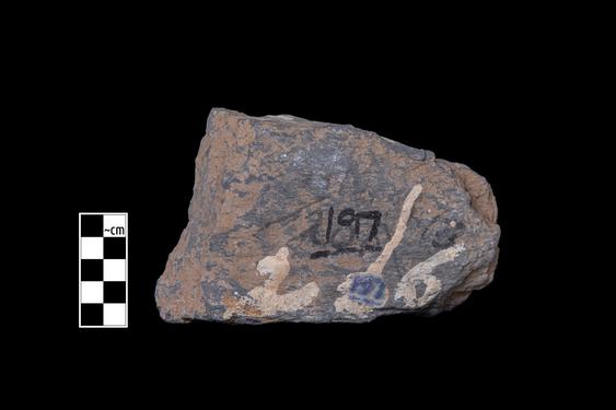 Image of Half-rosettes