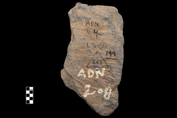 Image of Last Existence: Visit to the Ascetics