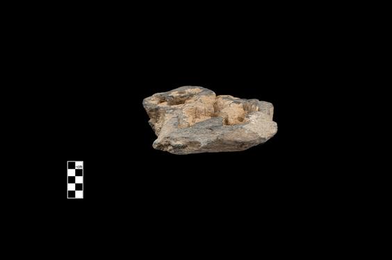 Image of Last Existence: Visit to the Ascetics