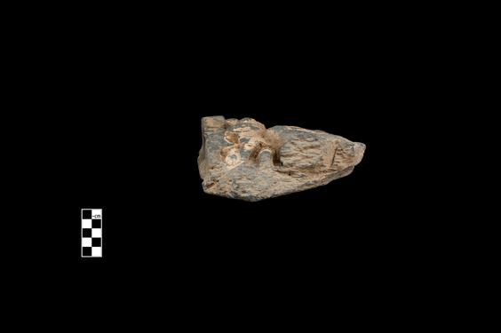 Image of Last Existence: Visit to the Ascetics