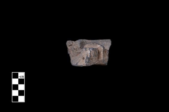 Image of Unidentified