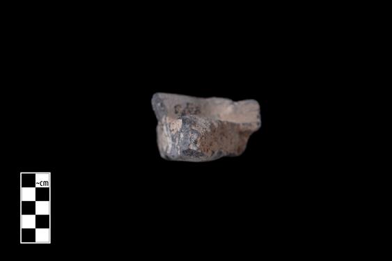 Image of Unidentified