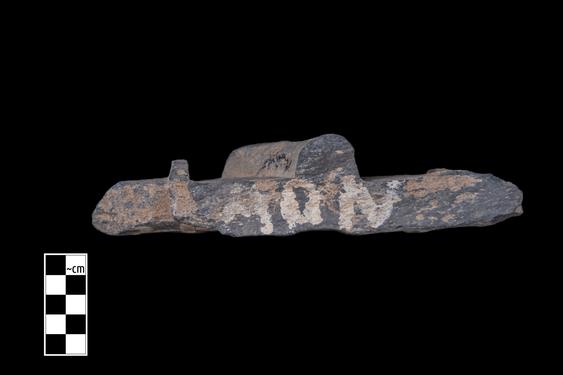 Image of Unidentified