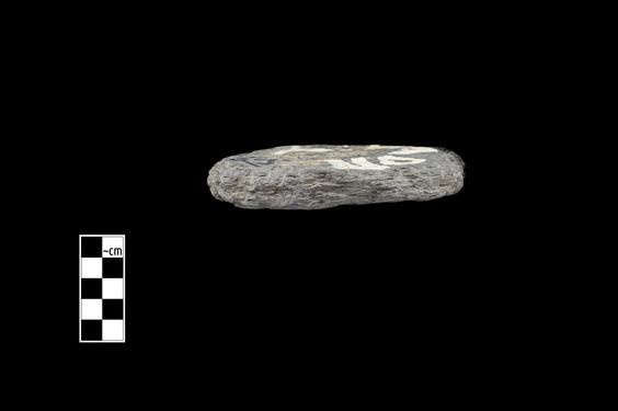 Image of Umbrella (?)