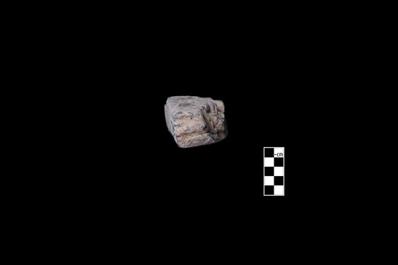 Image of last import