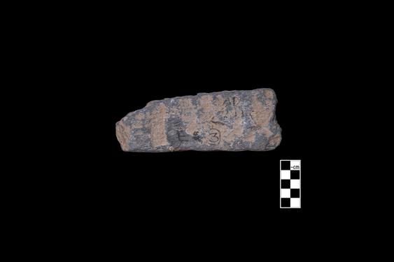 Image of last import