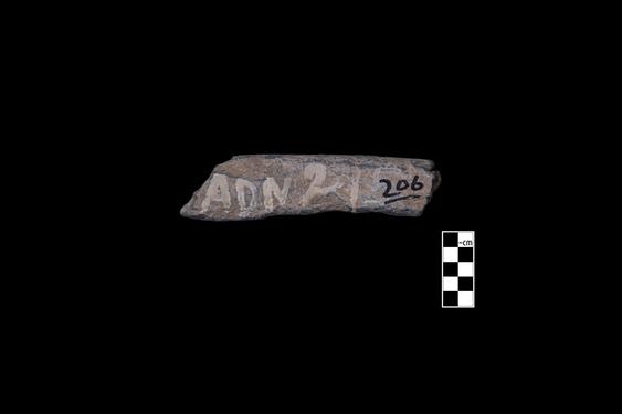 Image of last import