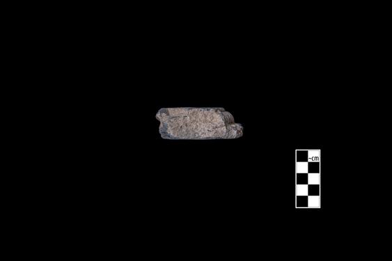 Image of Acanthus leaves