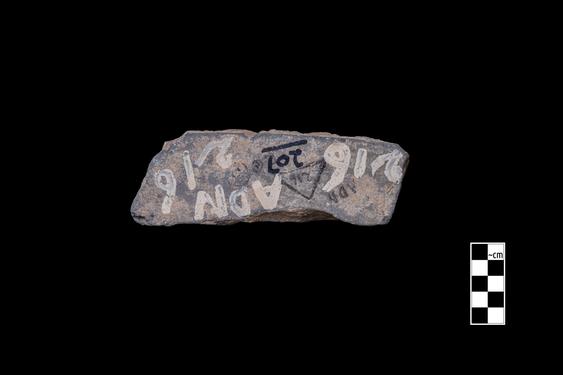 Image of Acanthus leaves