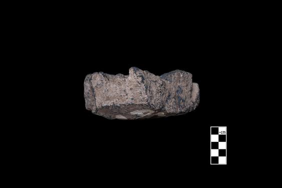 Image of Buddha and devotees