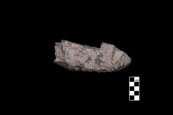 Image of Buddha and devotees