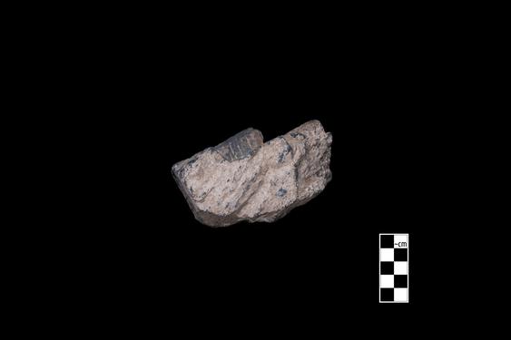 Image of Buddha and devotees