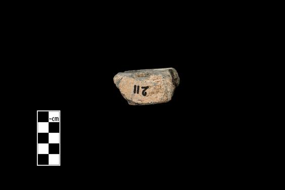 Image of Acanthus leaves