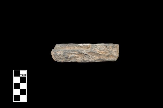 Image of Acanthus leaves