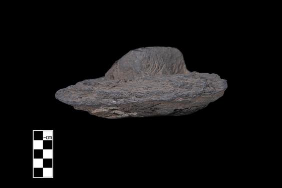 Image of Male devotee