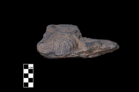 Image of Male devotee