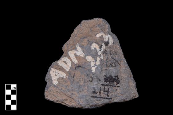 Image of Male devotee