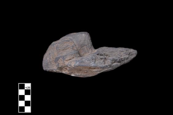 Image of Male devotee