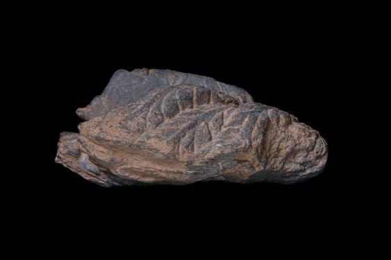 Image of Buddha head