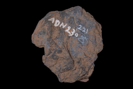 Image of Buddha head