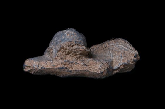 Image of Buddha head