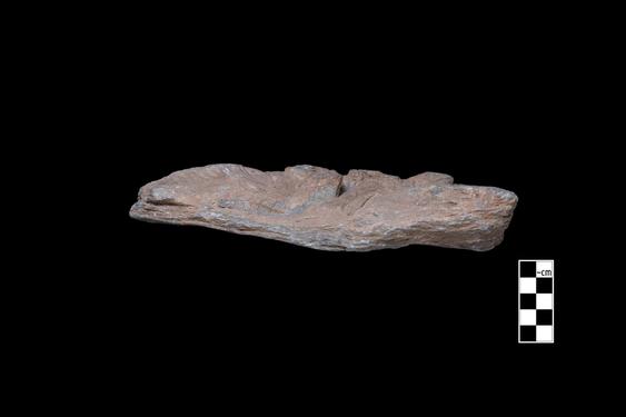 Image of Buddha and devotees