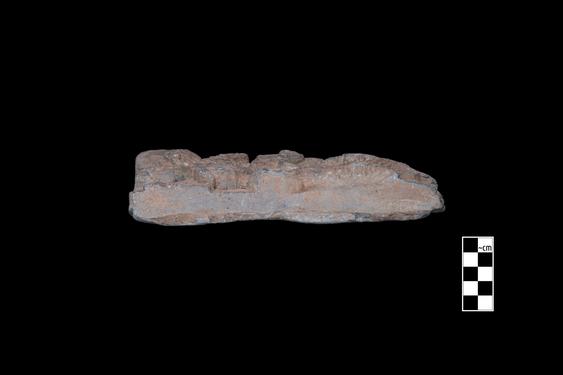 Image of Buddha and devotees