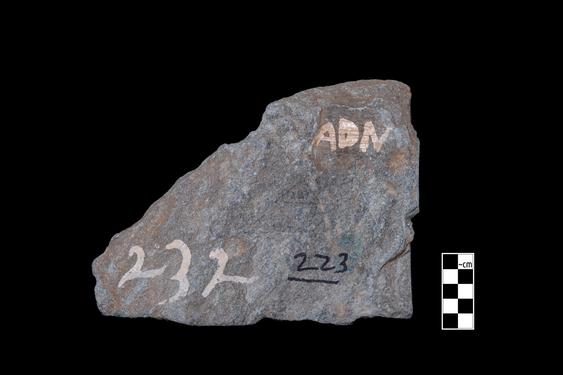 Image of Buddha and devotees