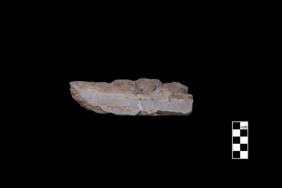 Image of Buddha and devotees