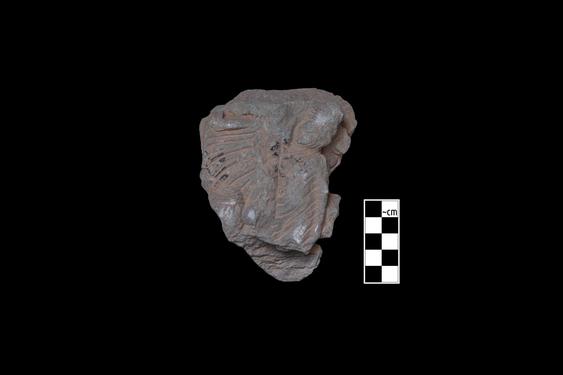 Image of last import