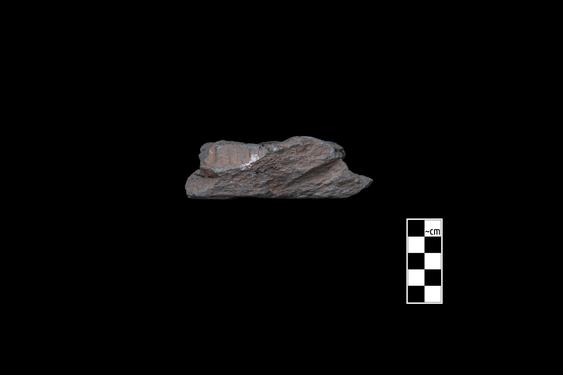 Image of last import