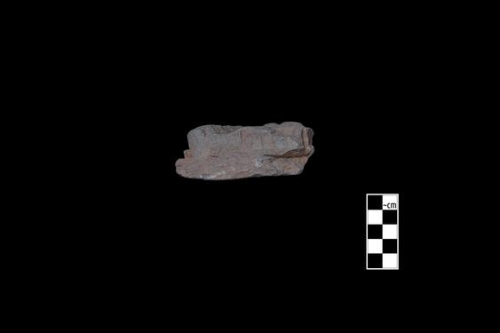 Image of last import