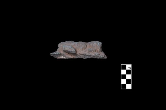 Image of last import