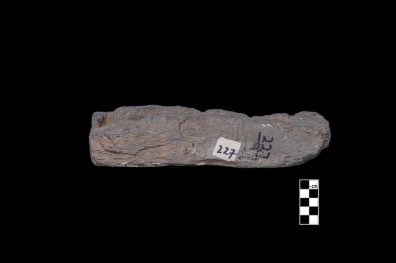 Image of Buddha and devotee