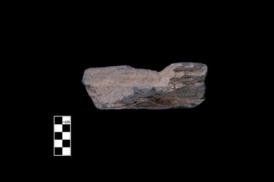 Image of Male and female figures